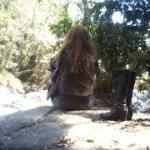 Restaurante Piccolino